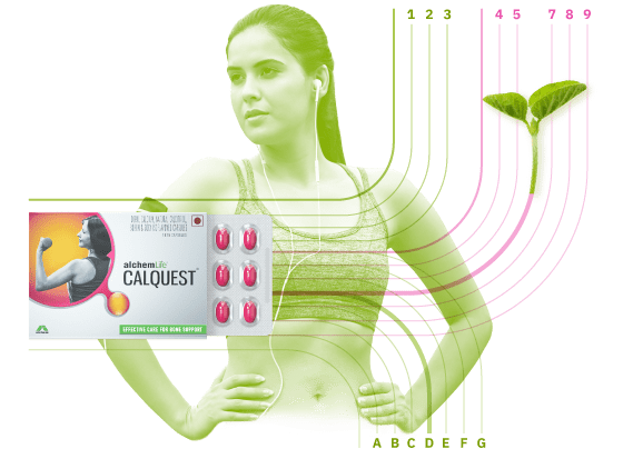 Calquest