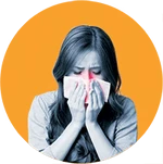 phytorelief