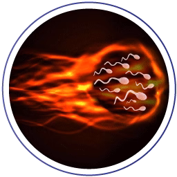 Indication-2