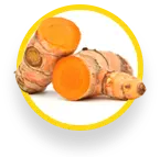 Ingredient_1