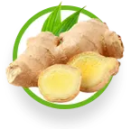 Ingredient_1